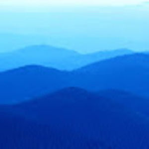 Meet your Posher, Bradley